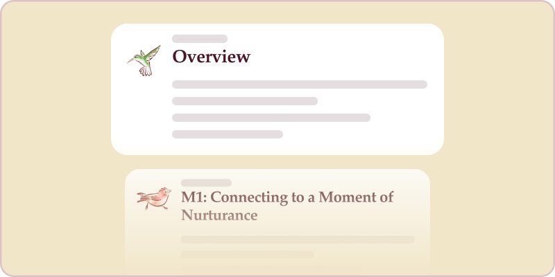 Self Guided Resources
